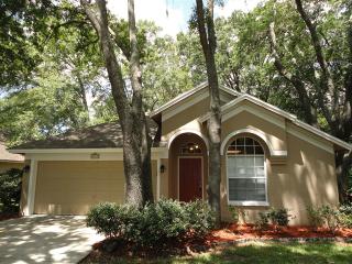 4615 Hidden Shadow Dr, Tampa FL  33614-1476 exterior