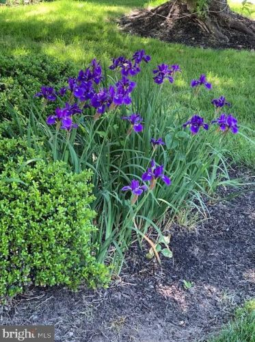 50 Steeplechase Cir, Chester PA 19014-1463 exterior