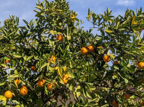 38301 15th Ave, Phoenix AZ 85041-4712 exterior