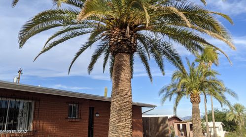 1934 Calle Pacifica, Tucson AZ  85745-2119 exterior