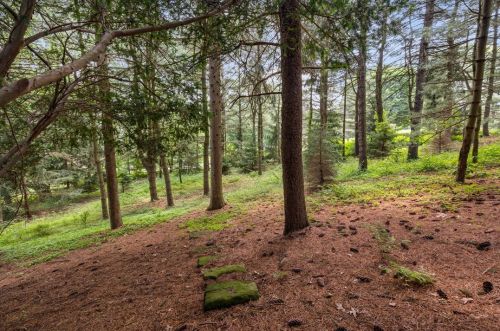 10 Chapel Ridge Rd, Pittsburgh PA  15238-1806 exterior