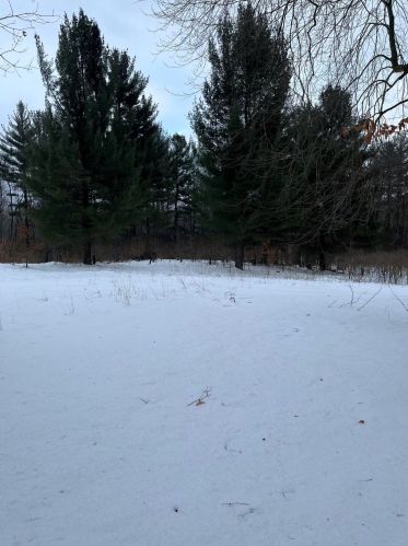 1120 37th St, Allegan MI 49010-8308 exterior