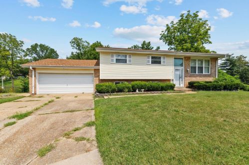 11021 Patrina Ct, Saint Louis, MO 63126-3526