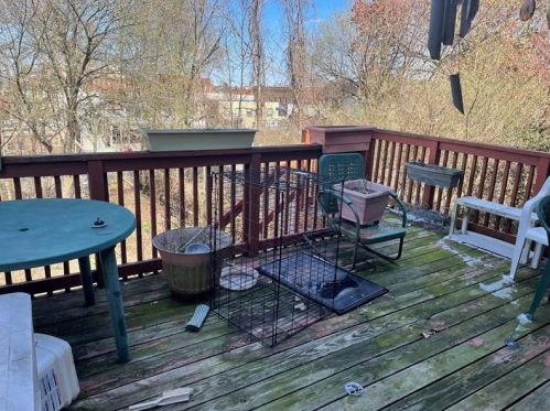 122 Natchez St, Pittsburgh PA 15211-1906 exterior