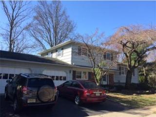17 Tyroler Ct, Edison, NJ 08820-3734