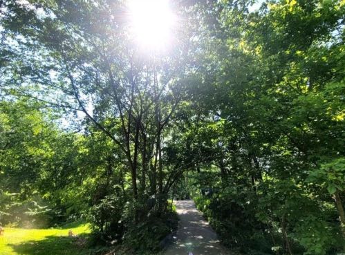 739 Spg Gdn Dr, Saint Louis MO 63137-4327 exterior