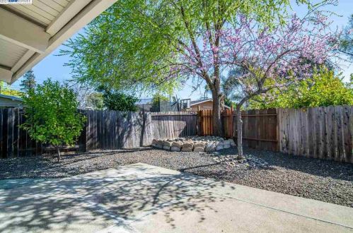 1414 Toyon Dr, Concord CA 94520-2911 exterior