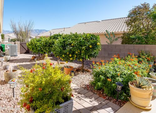 1484 Ganymede Dr, Tucson AZ 85737-3418 exterior