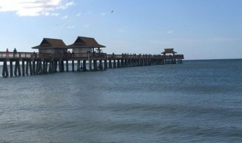 8590 Cedar Hammock Ct, Naples FL exterior