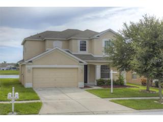 11408 Misty Isle Ln, Riverview, FL 33579-9710