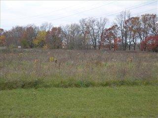 4231 Country Meadows St, Kalamazoo, MI 49048-0083