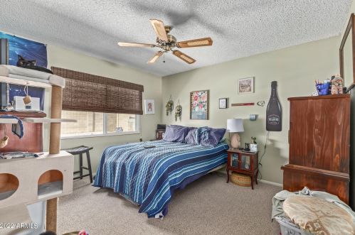 3732 Crocus Dr, Phoenix AZ 85053-5316 exterior