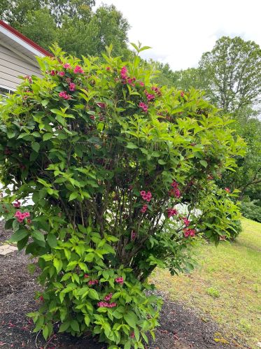 151 Pine Ridge Rd, Concord, NH 03307-0837