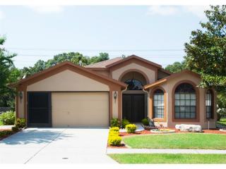 9329 Creek Side Ct, Port Richey, FL 34669-1893