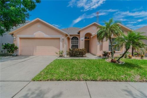 8824 Cypress Hammock Dr, Tampa FL  33614-8100 exterior