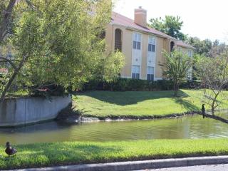 5307 Reflections Club Dr, Tampa FL  33634-6115 exterior