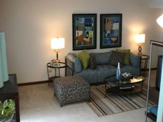 826 Terrace Lake Dr, Aurora IL  60504-8949 exterior