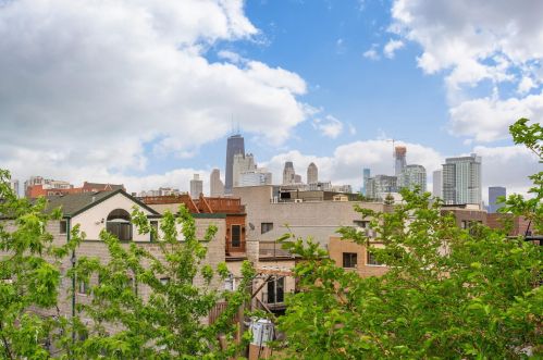 1529 Mohawk St, Chicago IL  60610-1115 exterior