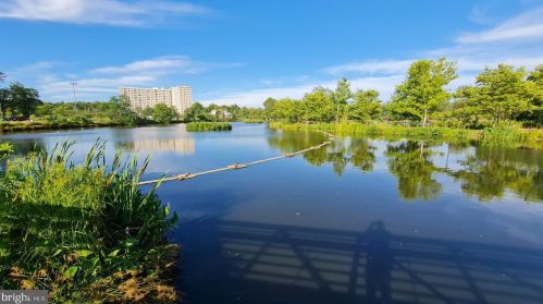 5082 Donovan Dr, Alexandria VA 22304-7755 exterior