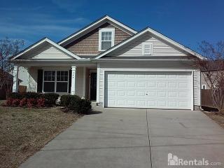 344 Stewart Springs Dr, Smyrna TN  37167-7720 exterior