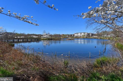 236 Jenkins St, Alexandria VA 22304-4907 exterior