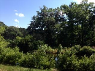 138 Stallings Island St, Bluffton, SC 29910-8362