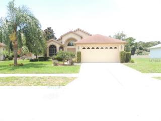 9349 Creek Side Ct, Port Richey, FL 34669-1893