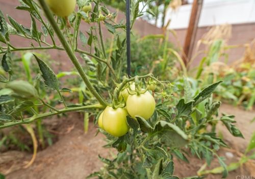 13633 Carpintero Ave, Bellflower CA 90706-2720 exterior