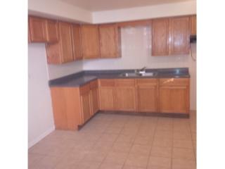 434 134th St, Chicago IL  60827-1870 exterior