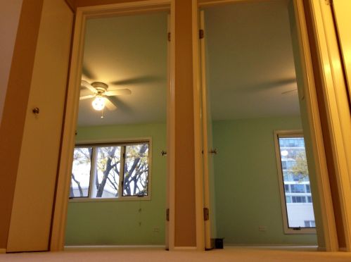 962 Park Ter, Chicago IL  60605-2018 exterior