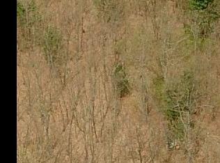 2319 54 St, Fennville MI  49408-8518 exterior