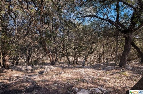 1751 Winding Crk Trl, Spring Branch TX 78070-5327 exterior