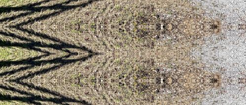 1069 Railroad Ave, Defuniak Springs FL  32433 exterior