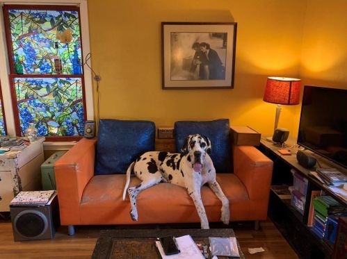 1815 Collier St, Austin TX 78704-2910 exterior