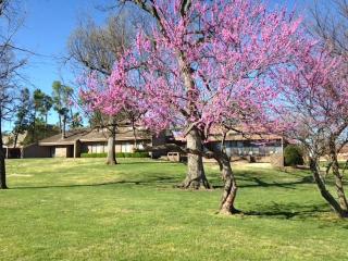 1903 Cheyenne Trl, Springdale, AR 72762-2247