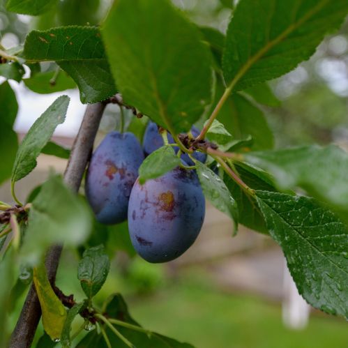 1241 23rd St, Milwaukee WI  53204-1906 exterior