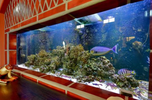 3268 Bordeaux Dr, Folsom CA 95762-3982 exterior