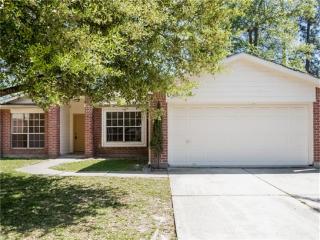 28706 Fox Cyn, Spring TX  77386-2766 exterior