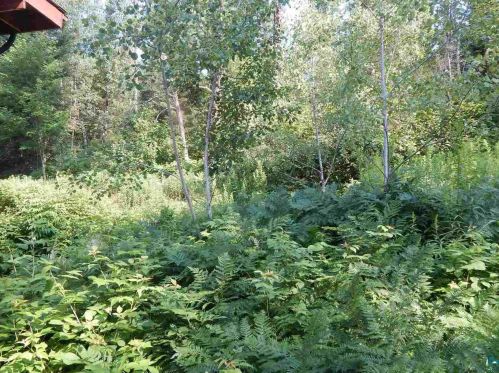 2413 Grant Mcmahan Blvd, Ely MN 55731-8119 exterior