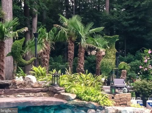 4512 Dolphin Ln, Alexandria VA 22309-3110 exterior