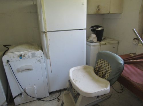 6729 Rhodes Ave, Chicago IL 60827-1340 exterior