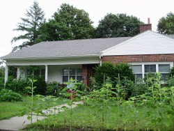 276 Linwood Ave, Newton, MA 02460-1438