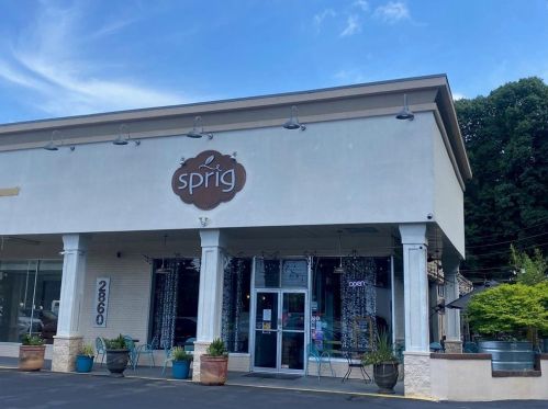 1639 Crestline Dr, Atlanta GA  30345-3820 exterior