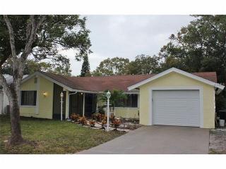 8505 Wagon Wheel Ln, Port Richey FL  34667-2582 exterior