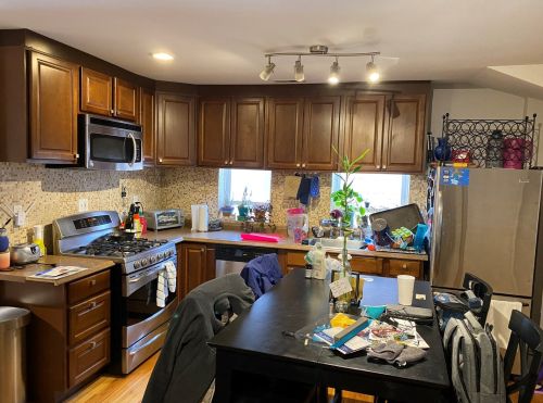 3342 Crystal St, Chicago IL 60651-2353 exterior