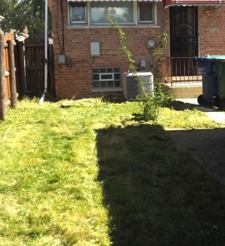 8742 Talman Ave, Chicago, IL 60805-1127