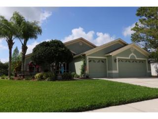 28638 Falling Leaves Way, Zephyrhills, FL 33543-5753