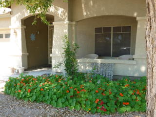 1072 Jade Dr, Chandler AZ  85286-2558 exterior