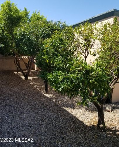 6790 3rd St, Tucson AZ  85710-1244 exterior