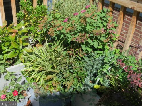 324 Camac St, Philadelphia PA 19140-4214 exterior